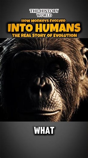 How Monkeys Evolved Into Humans! 🧬🙊➡️🧑 The Real Story of Evolution #TheHWorlds