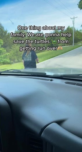 #savetheturtles #loveanimals #fyp