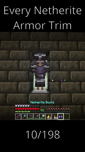 Every Netherite Armor Trim 10/198 #minecraft #gaming