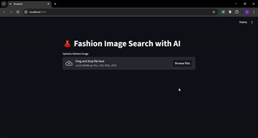 Upgraded my Fashion Image Search project to a Streamlit app | Muhammad Zain posted on the topic | LinkedIn