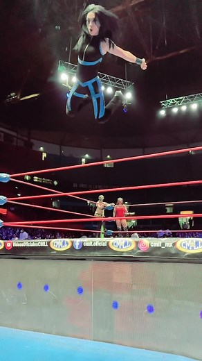 Lucha Libre CMLL on TikTok