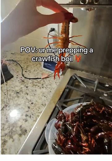 Preparing a Delicious Crawfish Boil for 2026