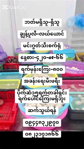 วิดีโอของ Mya Suအလုပ်ကိုင်ရှာဖွေရေး (@myasu55) พร้อมเพลง original sound - Mya Suအလုပ်ကိုင်ရှာဖွေရေး