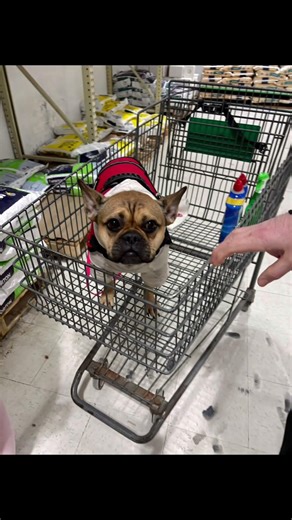 Come to menards with us