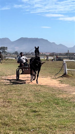 Emotional Tribute to My Brother