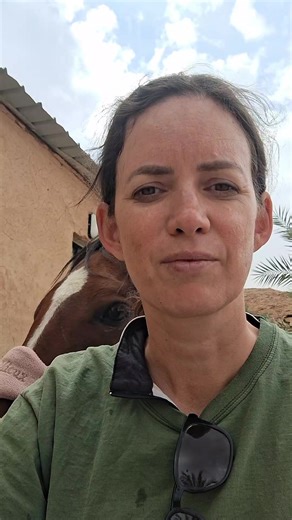 Identifying Red Flags in Horse Riding Schools