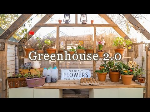 Upgrade Your Greenhouse: DIY Seed Sowing Station & Sweet Pea Growing Hack
