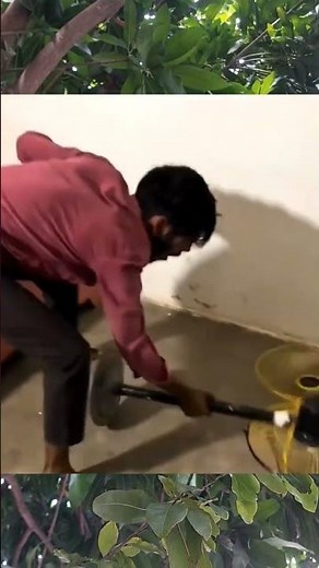 Best funny videos 2025 #neko3 #funny