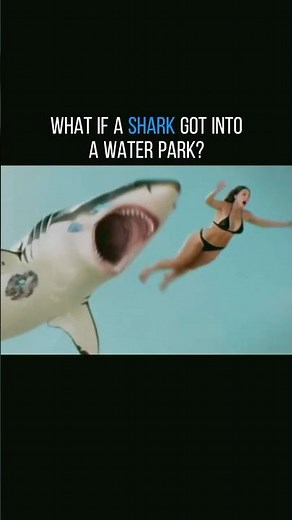 What if a Shark Got Into a Water Park...! | Water Park Shark
