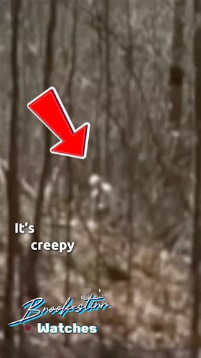 CRAWLER Captured on Camera #cryptids #crawler #creepy #cryptozoology #horror #creepyencounters