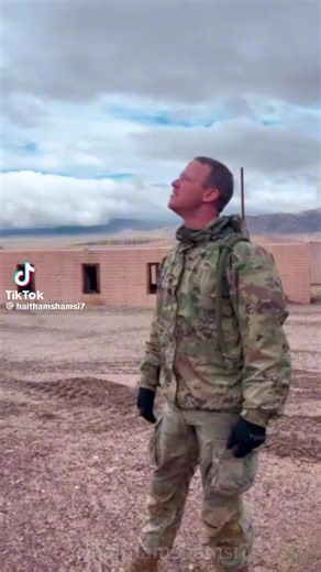 mr homer simpsons 2 (@mrhomersimpson2)s videor med original sound - MeowAdventure