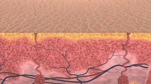 The concept of wet-bulb temperature