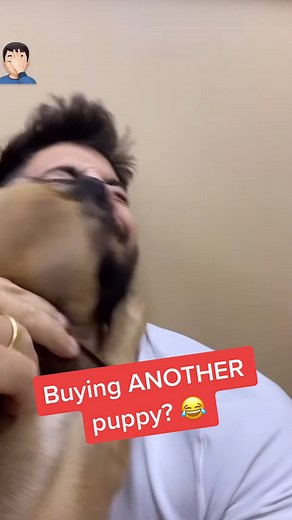 Did I get tricked into buying another puppy? 😂 #nickmercs #twitch #foryou