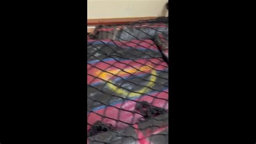 Largest cocaine bust in Australian history off Qld coast