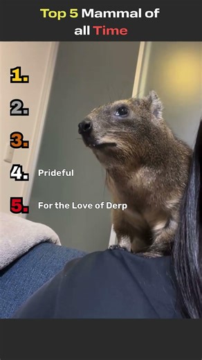 Top 5 Mammal of all Time