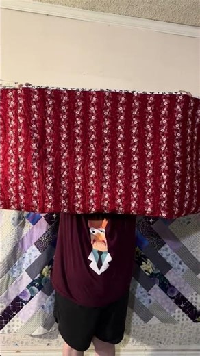 Hourglass Sampler Quilt Reveal #shorts #reveal