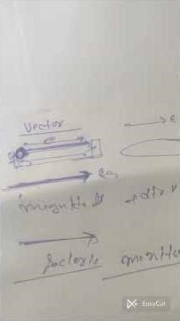 ....Class 11 Physics | Vector and Scalars (Complete Explanation)
