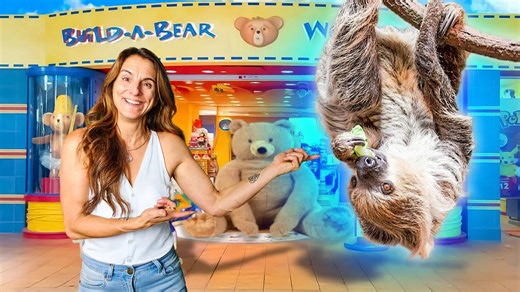 The contrast between a sloth’s pace and modern surroundings