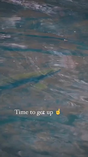 1K views |  watching a big brown trout rise never gets old Video via• @finripplemedia Bug life is great and then you are trout poop  With eyes upward this brown trout cruised around searching for his prey .Gatecrashing the courtship of mayflies .Follow @fly_life_media #mayfly #buglife #trout #flyfishing #fish #wildlife #fishing #insect #wildfish | Fly life media | Facebook