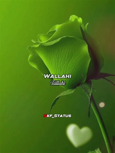 Erm Boii - Wallahi Tallahi by Jagaban001 #hausalyrics #skf_status #arewa__tiktok #fyp #hausalyrics