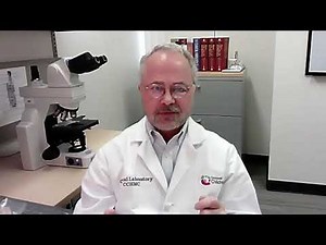 US | BACT/ALERT® VIRTUO® Customer Testimonial – Joel Mortensen, PhD