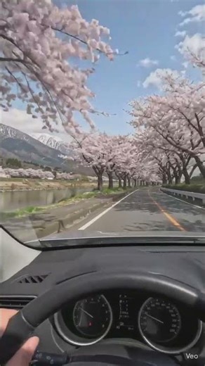 Hello Beautiful Spring Travel Moments 🌸