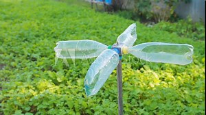 Homemade mole repeller in the garden made from plastic bottles, rotating in the wind. Slow motion, sunset