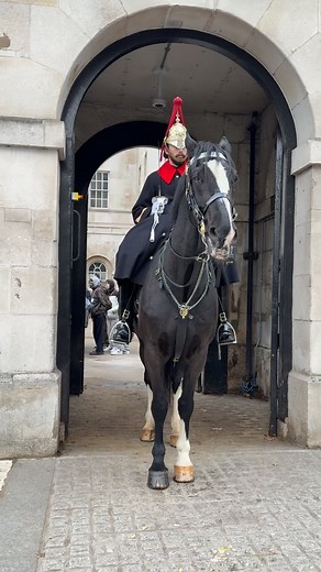 Blues and royals today | King Guards horses England