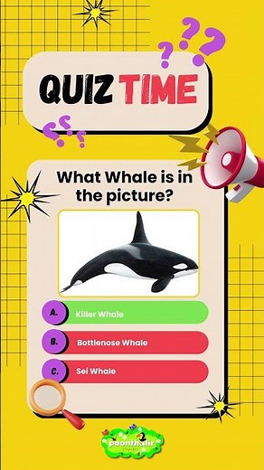 Only Ocean Lovers Can Answer! 🐋💙 | Whales Quiz | #AnimalQuiz | #OceanQuiz | #Wildlife | #QuizShorts
