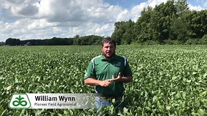 Pioneer Field Agronomist William Wynn gives you the tips you need to control waterhemp in 2019. | Pioneer Seeds