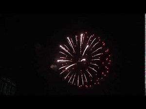 5 Inch Firework Shell - Jellyfish Effect