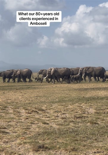 Personalized Safaris for Seniors in Amboseli, Kenya