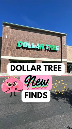 256K views · 3.1K reactions | New Dollar Tree items this week! Part 1 #dollartree #dollartreefinds #dollartreediy #dollartreehaul #newfinds | Simplistically Living | Facebook
