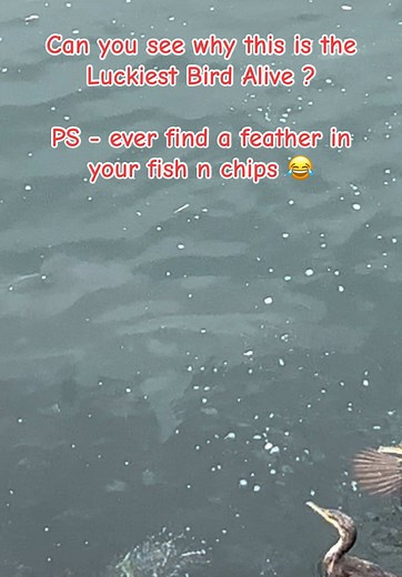 New Episodes of Fishing Australia You Can't Miss