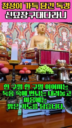 🙏 마음을 맑히는 기도｜신묘장구대다라니 독송