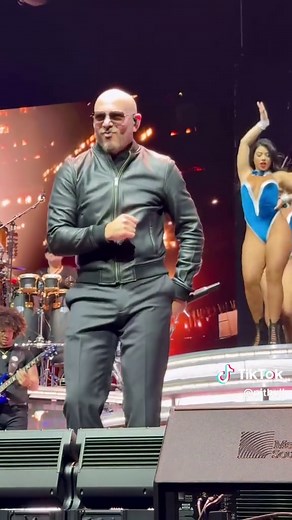 Pitbull Concert Highlights From Las Vegas This Weekend