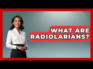 What Are Radiolarians? - The Marine Life Explorer