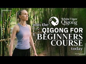 Qigong for Beginners: | Master the Fundamentals & Unlock Inner Power
