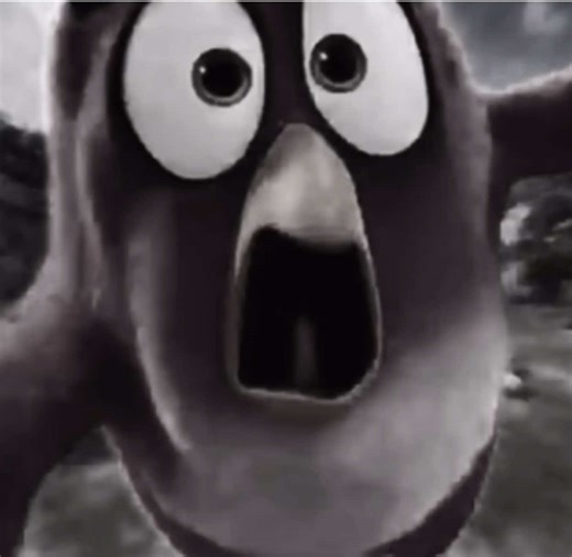 I love this trend 😭 #dieinthishouse #edit #viral #fyp #angrybirds | birds