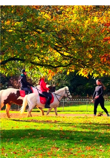 London vibes’have a nice day #londonlife🇬🇧🇬🇧 #foryou #beauty