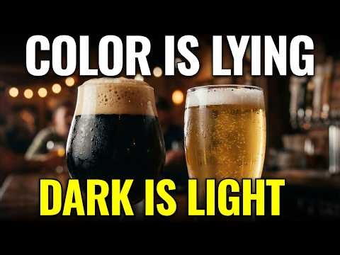 Why Dark Beer Isn’t Actually "Heavy" (The Stout Myth)