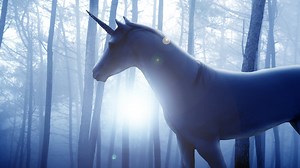 Découvrez l'univers merveilleux des licornes