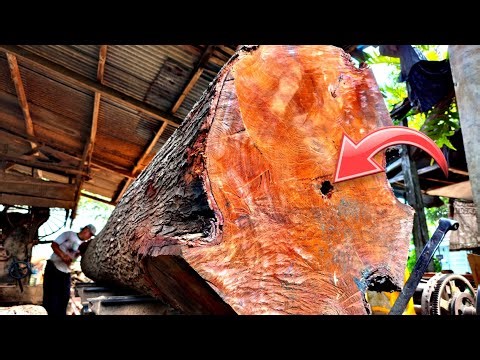 UNBELIEVABLE! Opening the World's Largest Hollow 'Red Monster' Log