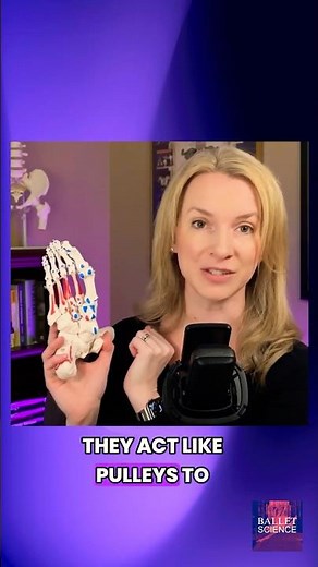What Is a Sesamoid Bone? Ballet Foot Anatomy Explained | Ballet Science Podcast