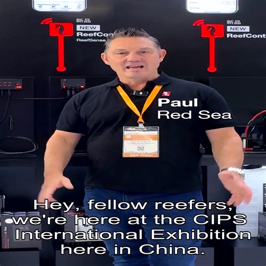 The 2025 CIPS exhibition was a blast! Reefers got an exclusive first look at Red Sea’ new smart devices and REEFER MAX configuration, and Neil Marks, Red Sea CTO, discussed the new ReefControl range and demonstrated how it both simplifies and elevates your reefkeeping experience. For more information on the ReefControl Family, visit our website: https://redseafish.com/smart-hardware/reefcontrol/ | Red Sea