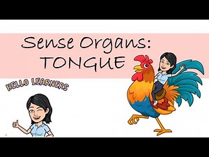 Science Lesson: Sense Organs//Tongue