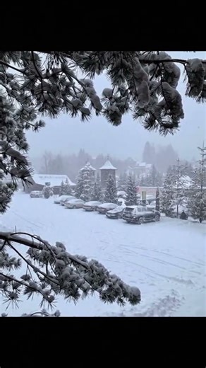 A calm and magical winter atmosphere captured as a real cinematic video. #shorts