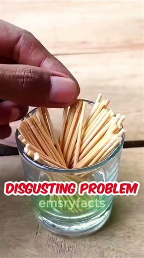 The Real Reason Japanese Toothpicks Have Grooves 🥢😲