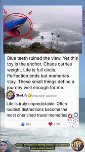 Why do we often find beauty in the chaotic moments that once annoyed us?