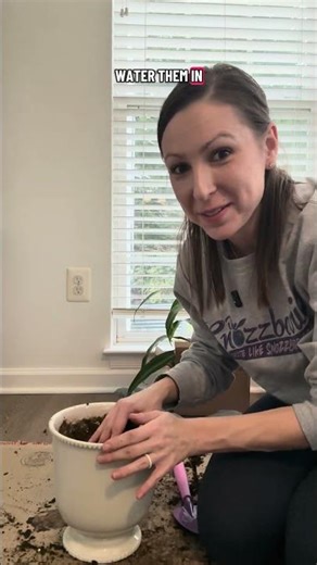 Forcing bulbs inside #gardening